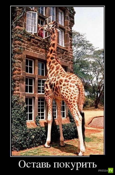 ������������ �� ������ 14 (30 ����)