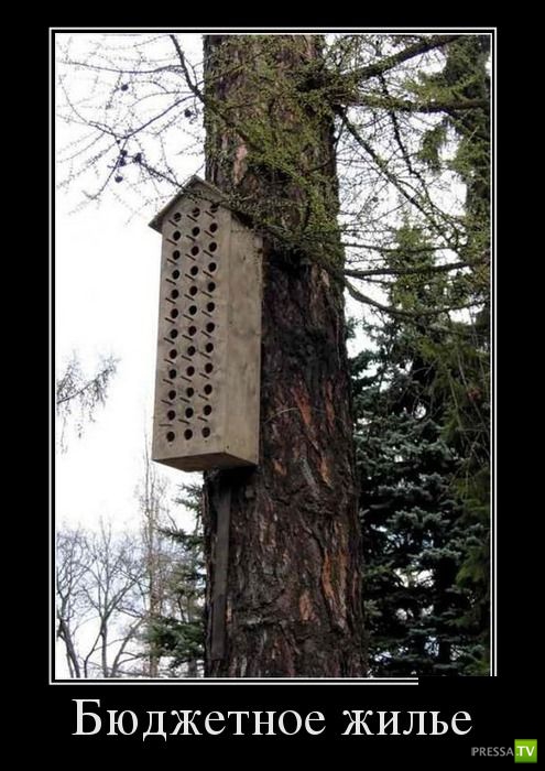 ������������ �� ������ 14 (30 ����)