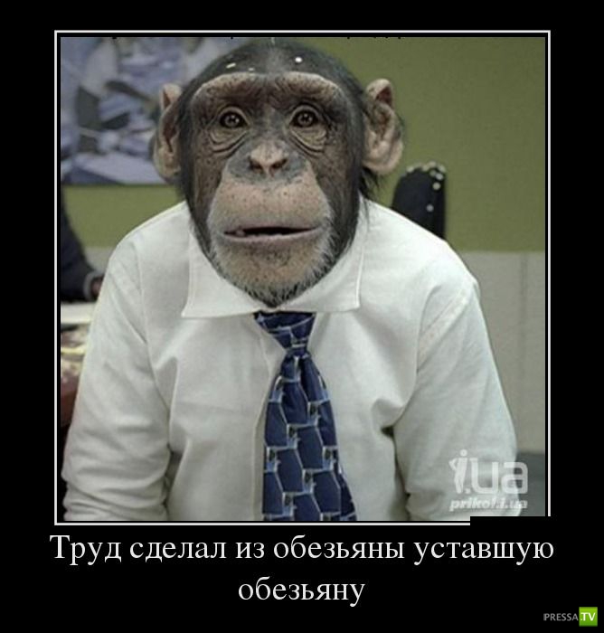 ������������ �� ������ 14 (30 ����)