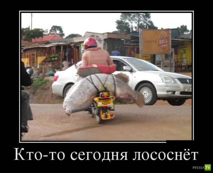 ������������ �� ������ 14 (30 ����)