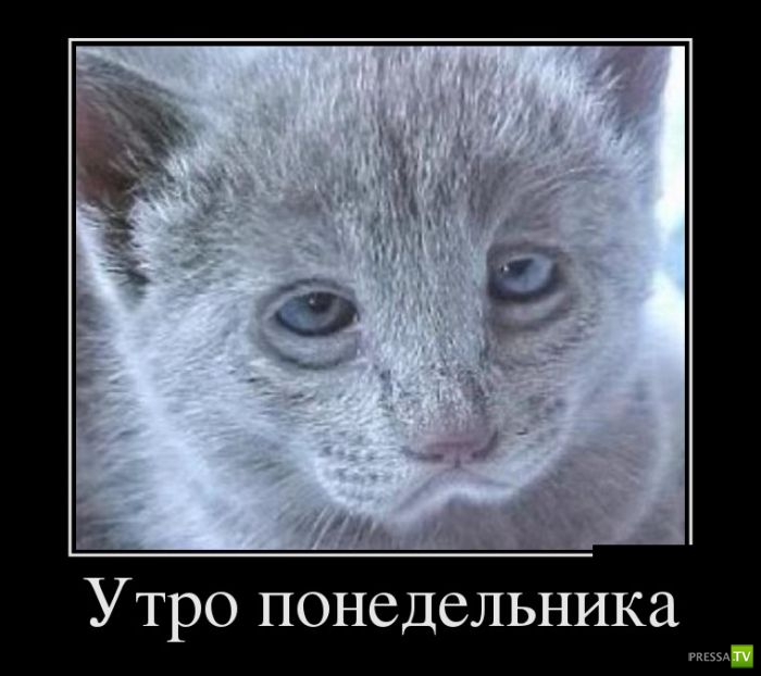 ������������ �� ������ 14 (30 ����)