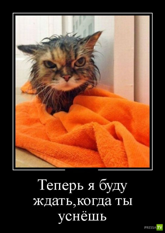 ������������ �� ������ 15 (31 ����)