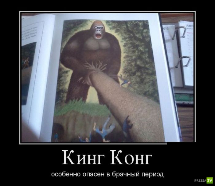 ������������ �� ������ 15 (31 ����)