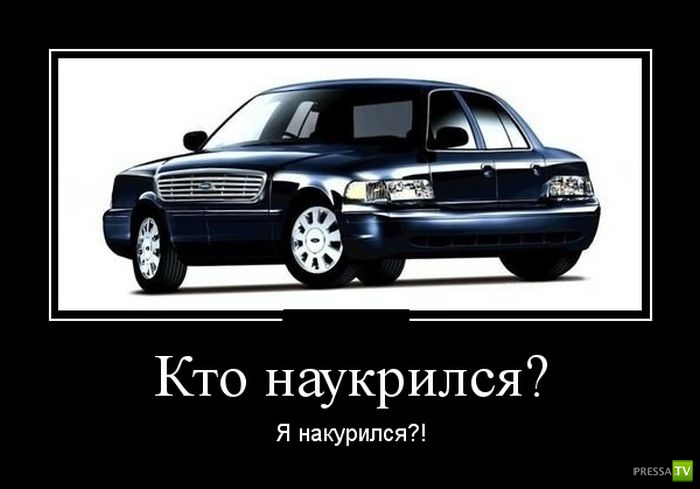 ������������ �� ������ 15 (31 ����)