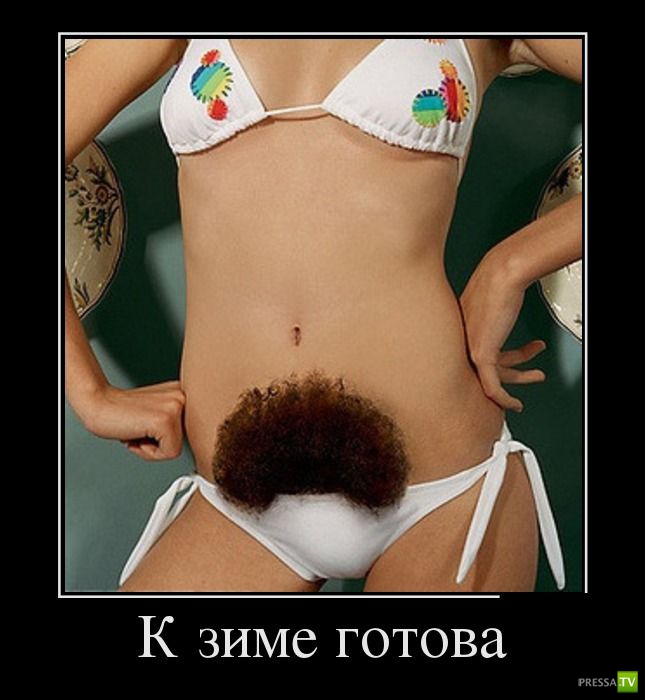 ������������ �� ������ 15 (31 ����)