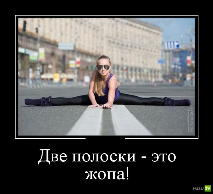 ������������ �� ������ 15 (31 ����)