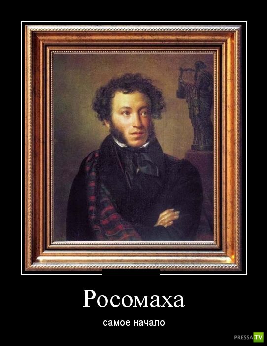 ������������ �� ������ 15 (31 ����)