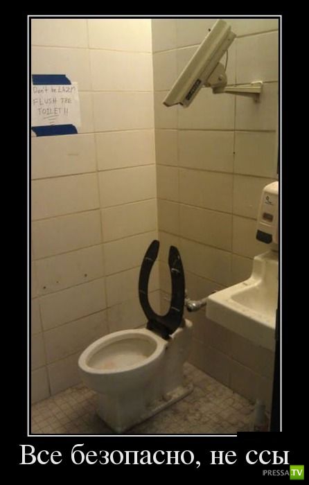 ������������ �� ������ 15 (31 ����)