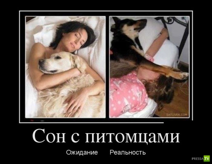 ������������ �� ������ 15 (31 ����)