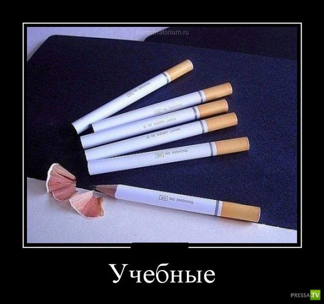 ������������ �� ������ 15 (31 ����)