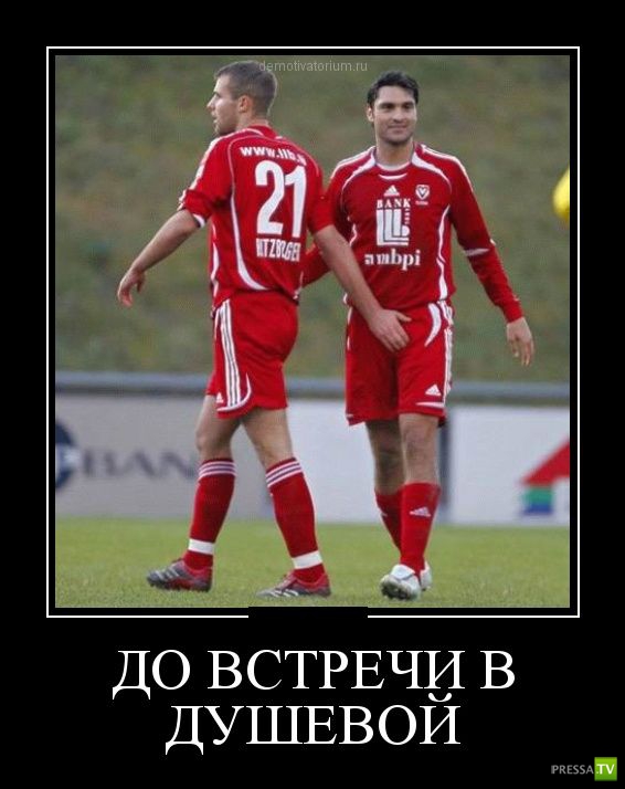 ������������ �� ������ 15 (31 ����)