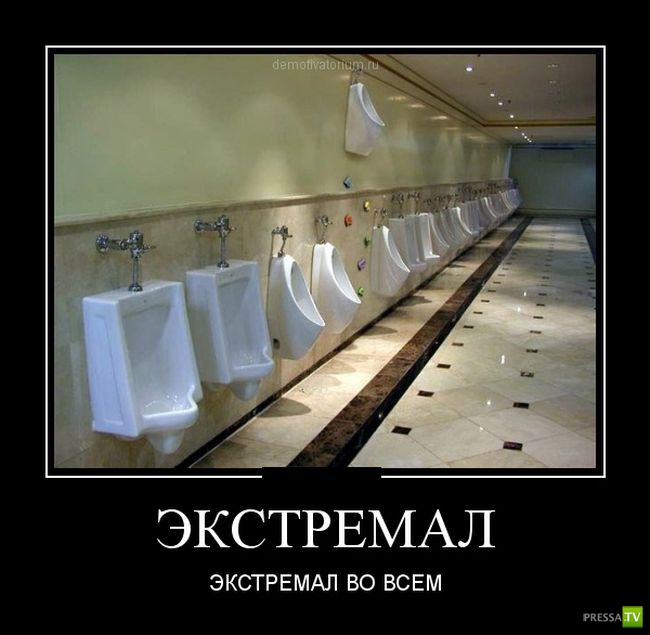 ������������ �� ������ 15 (31 ����)