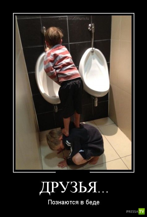 ������������ �� ������ 15 (31 ����)