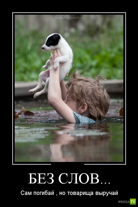 ������������ �� ������ 16 (30 ����)