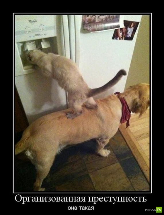 ������������ �� ������ 16 (30 ����)