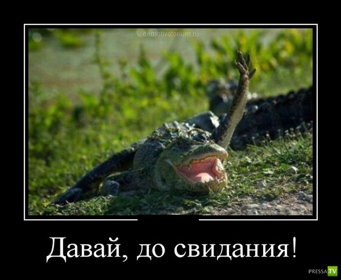 ������������ �� ������ 16 (30 ����)