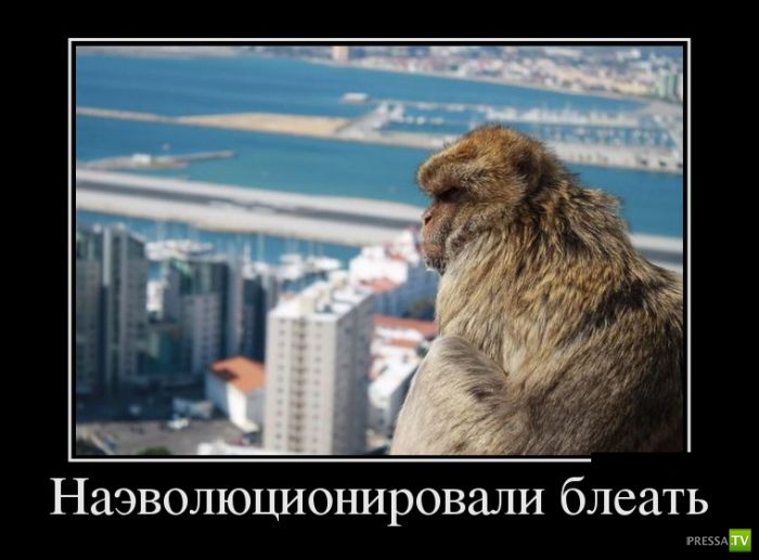 ������������ �� ������ 19 (30 ����)