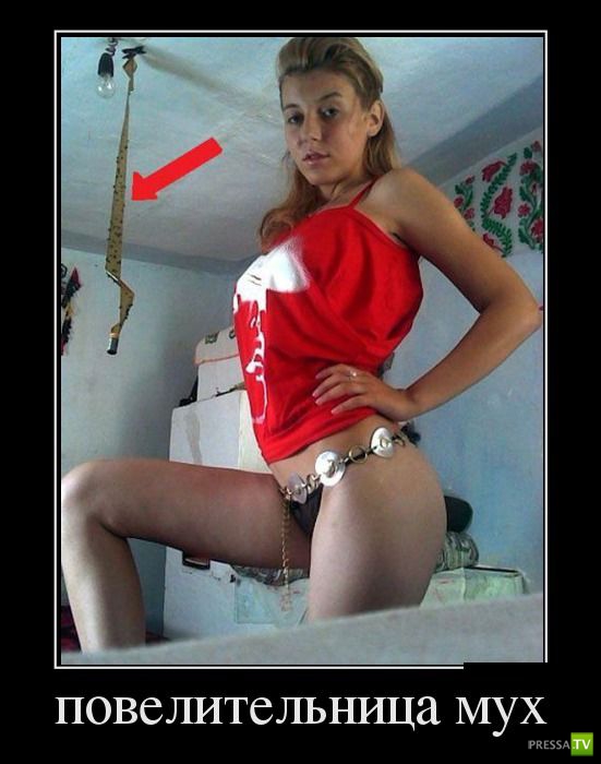 ������������ �� ������ 19 (30 ����)