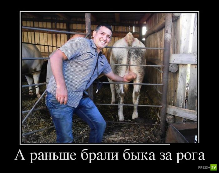 ������������ �� ������ 19 (30 ����)