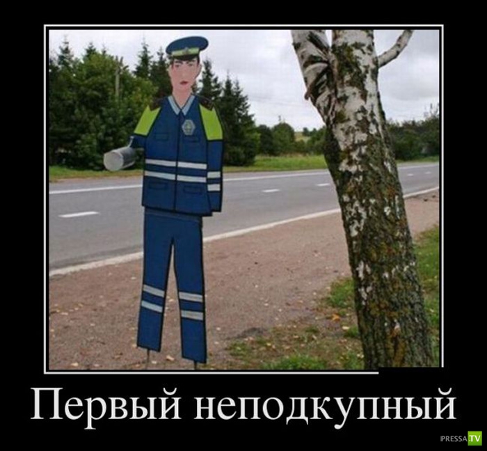 ������������ �� ������ 19 (30 ����)