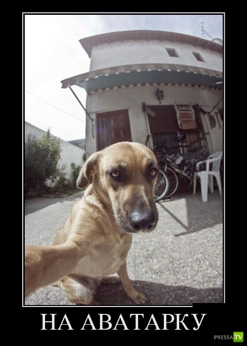 ������������ �� ������ 19 (30 ����)