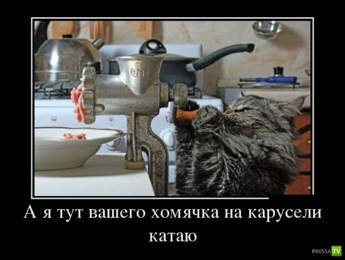 ������������ �� ������ 19 (30 ����)