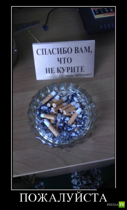 ������������ �� ������ 19 (30 ����)