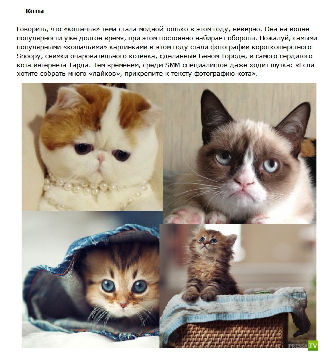 ��������� ��������-���� �� 2012 ��� (10 ����)