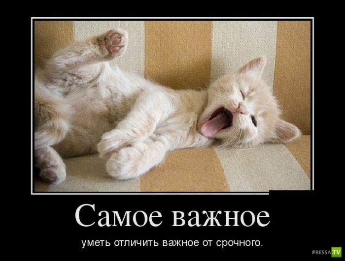 ������������ �� ������ 22 (30 ����)