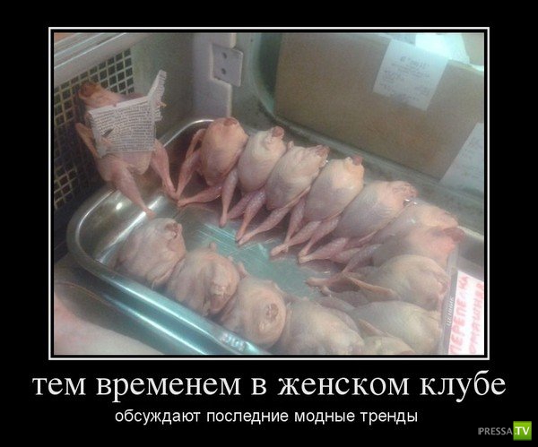 ������������ �� ������ 22 (30 ����)