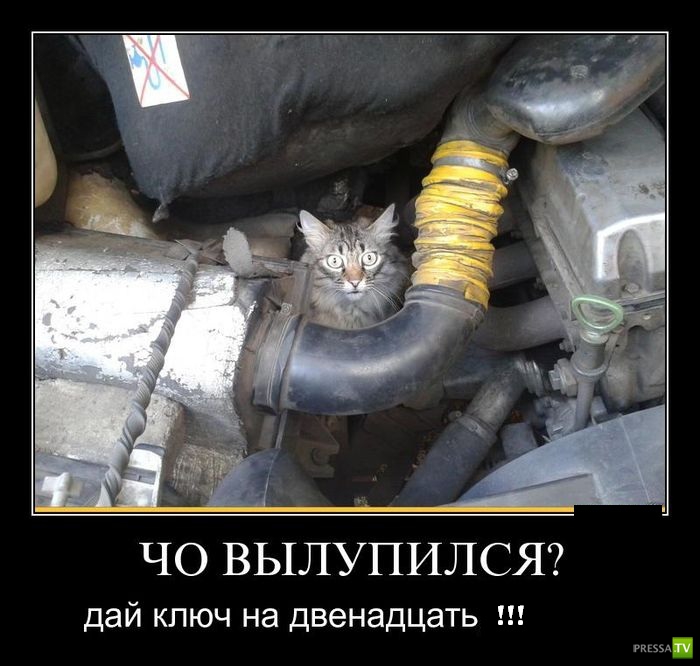 ������������ �� ������ 22 (30 ����)