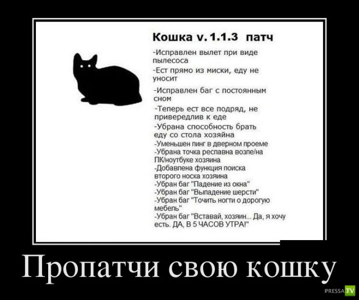 ������������ �� ������ 22 (30 ����)