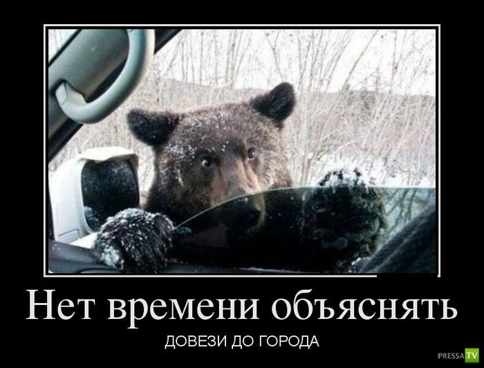 ������������ �� ������ 23 (30 ����)