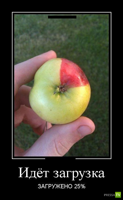 ������������ �� ������ 23 (30 ����)