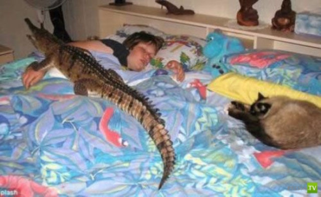 Глупые родители (24 фото)