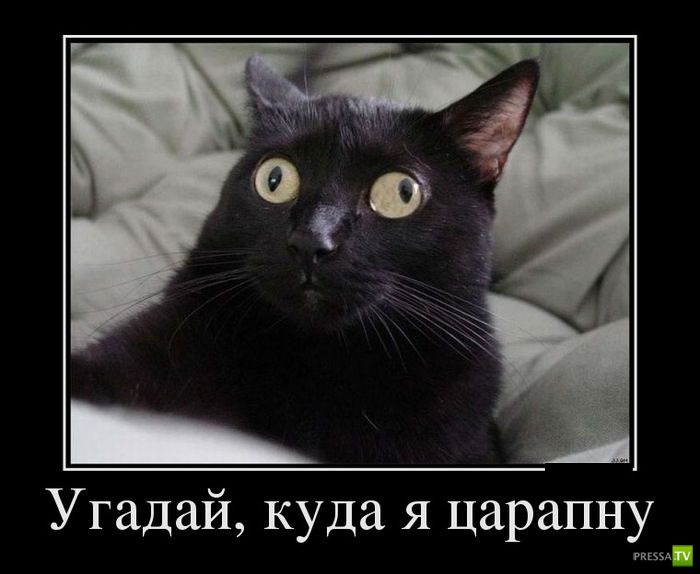 ������������ �� ������ 26 (30 ����)