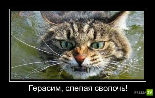 ������������ �� ������ 26 (30 ����)