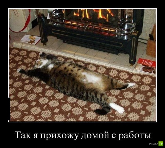 ������������ �� ������ 26 (30 ����)