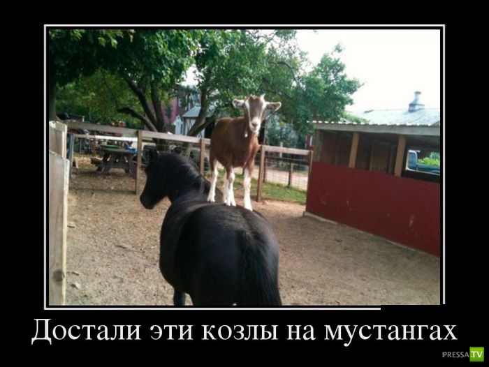 ������������ �� ������ 26 (30 ����)