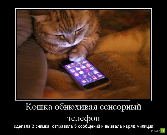 ������������ �� ������ 27 (30 ����)