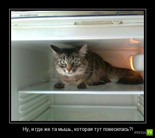 ������������ �� ������ 28 (30 ����)