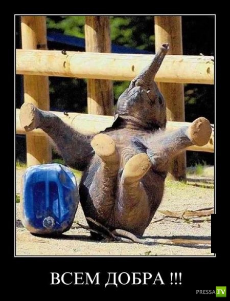 ������������ �� ������ 28 (30 ����)