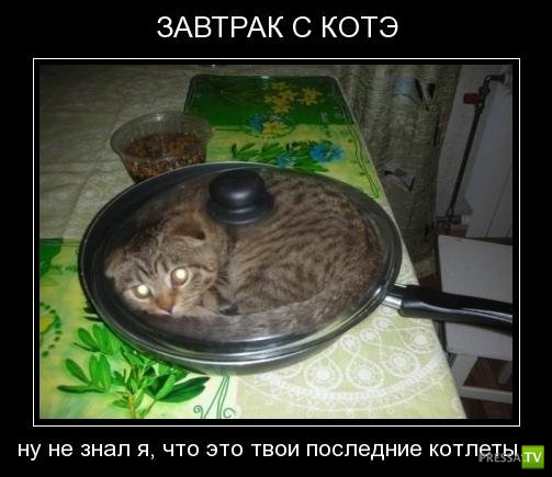 ������������ �� ������ 28 (30 ����)