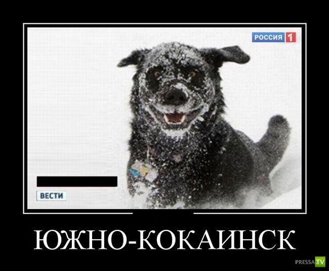 ������������ �� ������ 29 (30 ����)