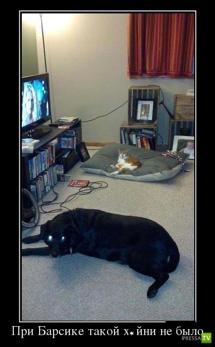 ������������ �� ������ 29 (30 ����)