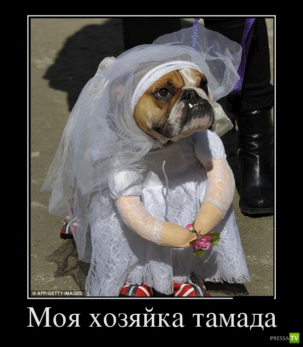 ������������ �� ������ 29 (30 ����)