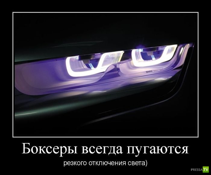 ������������ �� ������ 30 (30 ����)