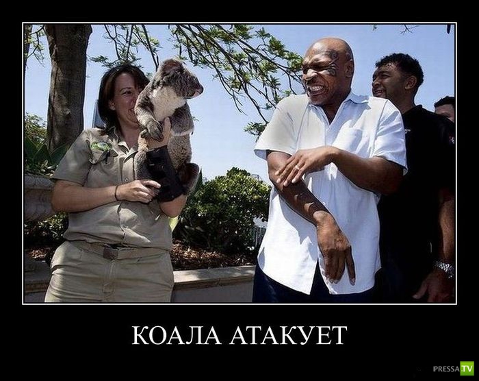 ������������ �� ������ 30 (30 ����)