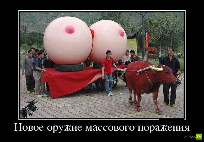 ������������ �� ������ 30 (30 ����)