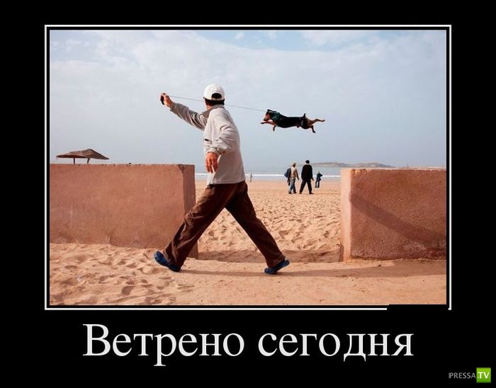 ������������ �� ������ 30 (30 ����)